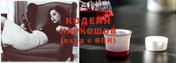прущие грибы Арсеньев