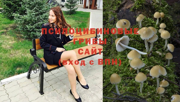 тгк Аркадак