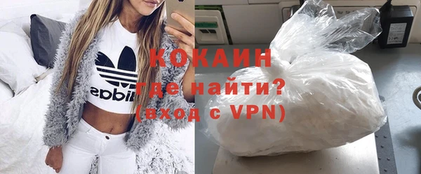 прущие грибы Арсеньев